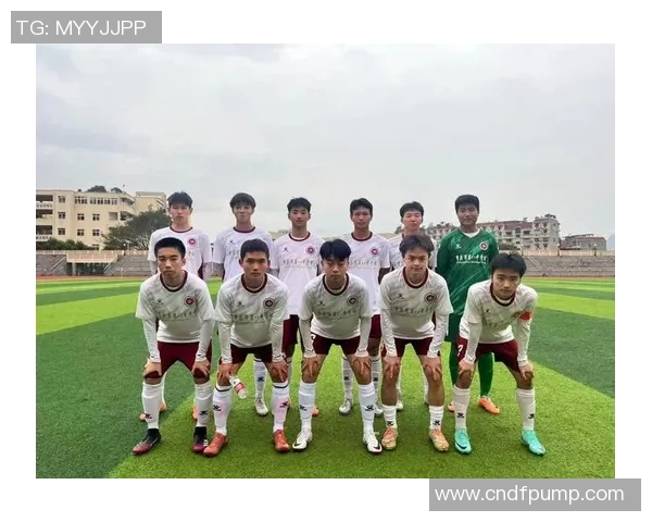 重庆足球队实力分析与大满贯点评的深度解读与展望