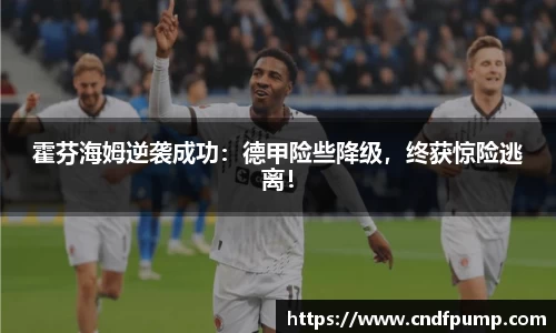 霍芬海姆逆袭成功：德甲险些降级，终获惊险逃离！